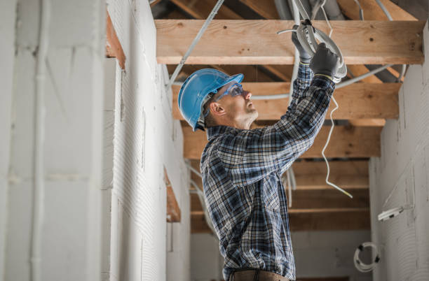 Best Residential Electrician Services  in Lo, HI